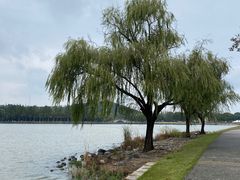 -上海月湖雕塑公园