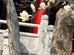 -灵谷景区