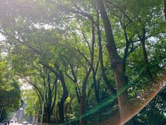 -南山风景名胜区