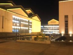 -公共文化中心剧院