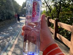 -杭州半山国家森林公园