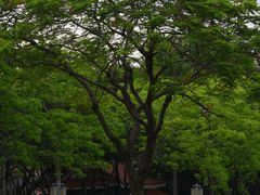 -顺峰山公园