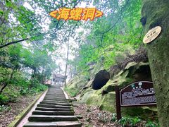 -缙云山景区