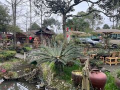 -青城甲(青城山店)