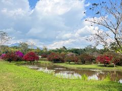 -中国科学院西双版纳热带植物园