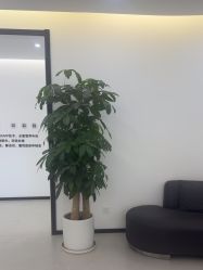 -医方嘉明医疗美容