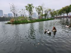 -武汉动物园