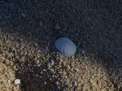 -查汶海滩