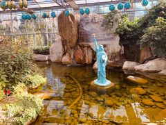 -南宫五洲植物乐园