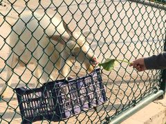 -上海滴水湖皇冠假日酒店