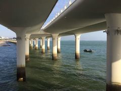 -演武大桥观景平台