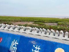 -南汇嘴观海公园