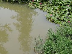 -同里国家湿地公园