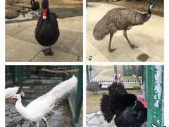 -红跑车HPCBAKERY(汉商店)