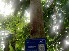 -南山植物园