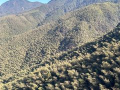 -萍乡武功山风景名胜区