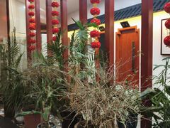 -鲍氏金勺子(恒大店)
