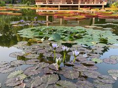 -国家植物园南园