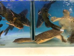-澜悦港海鲜体验主题餐厅