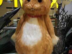 -华隶影城CINITY120帧(华创店)