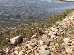 -天津东丽湖风景区