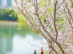 -美兰湖景区