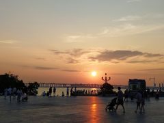 -宝安西湾红树林湿地公园