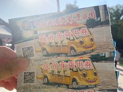 -中国西峡恐龙遗迹园