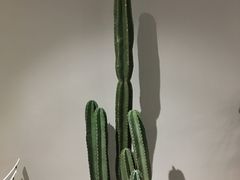 -吉森Bakery(教育路店)