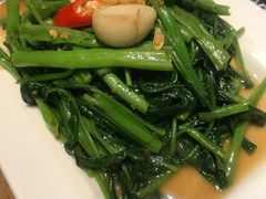 秘制虾酱炒空心菜-帕蓝·暹罗料理(曲阳店)