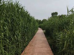 -西安浐灞国家湿地公园