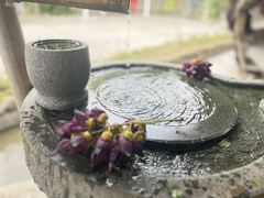 -世间香境·七溪地