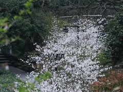 -中国茶叶博物馆(双峰馆区)