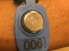 -翡翠湖迎宾馆·游泳馆