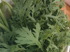 -草原传奇鲜羊火锅(桥北店)