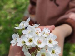 -盘龙城遗址博物院