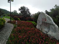 -铁山坪森林公园