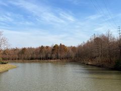 -上海海湾国家森林公园