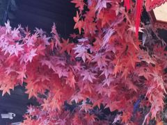 -南楚古都