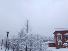 -西岭雪山大飞水景区