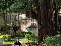 -顺德大良半月城游乐场