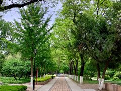 -山东大学(趵突泉校区)