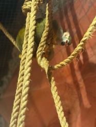 -Zoolung Zoolung动物主题公园(海信广场店)