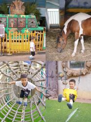 -宝燕乐园(闵行旗舰店)