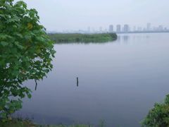 android_upload_pic-艾溪湖湿地公园