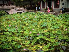 -惠州西湖丰渚园