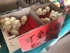 -兴芮温泉度假区