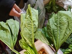 -岳各庄批发市场(西四环中路店)