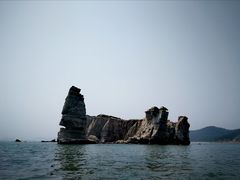-长岛万鸟岛