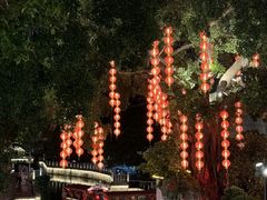 -荔湾湖公园